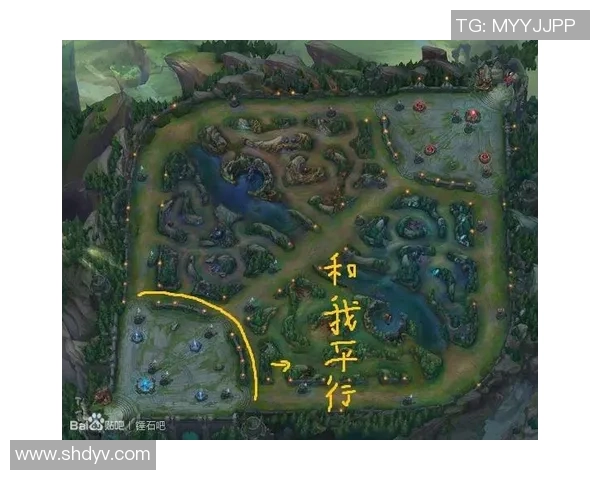 南京篮球队整体压制打法深度解析与战术优势剖析